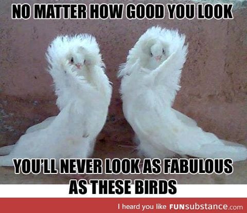 No matter how good you look