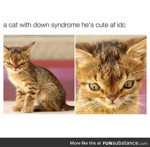 Awwwe ♡