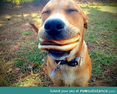 I don't think I will ever be this happy