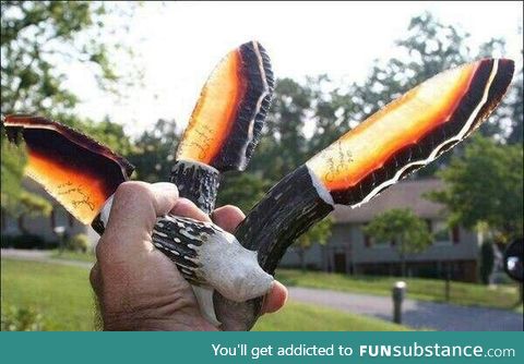 A nice collection of knives, made out of wood and vulcanite glass