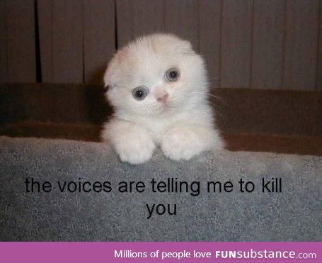 devil kitty