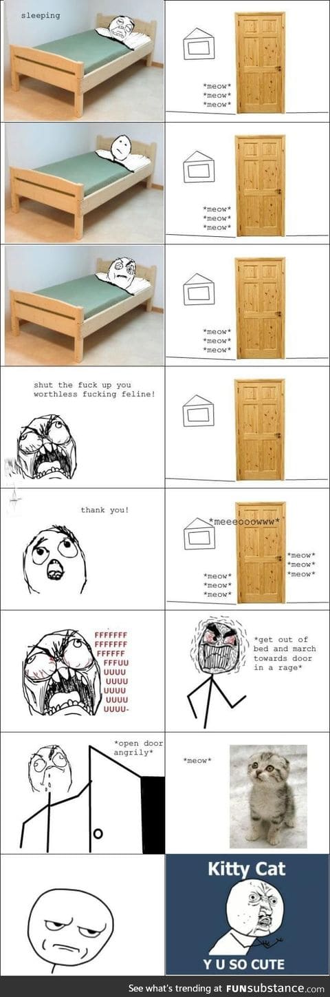 Y u do dis kitty cat?