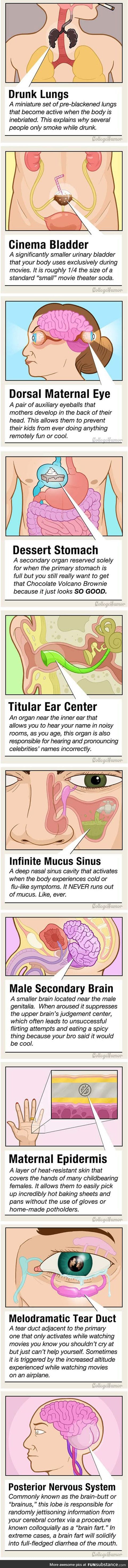Secret Body Parts You Didn't Know You Had