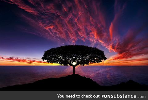 Sunset in South Africa