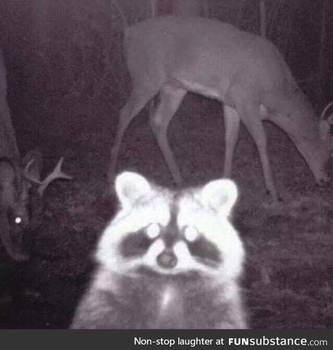 Photo bombed