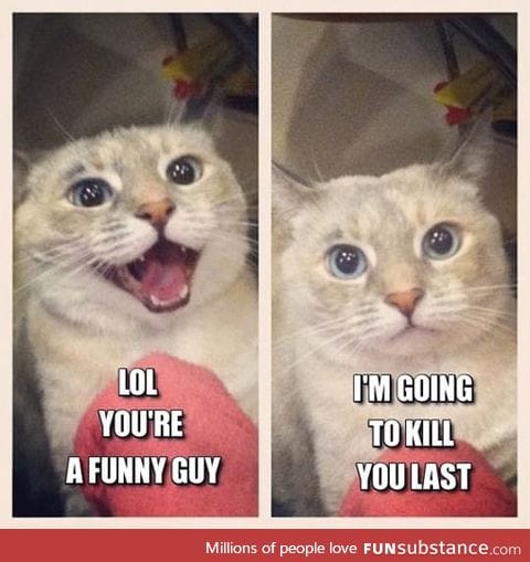 You are so funny