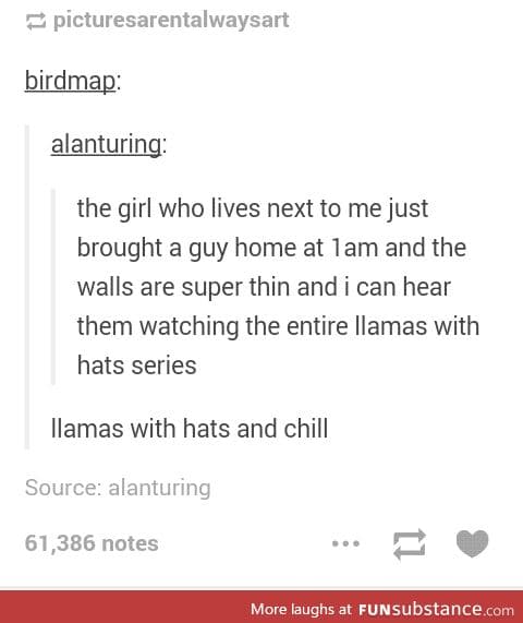 I miss llamas with hats