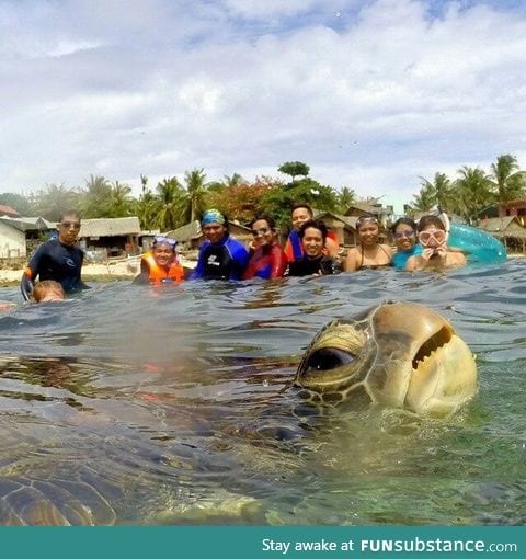 Master of Photobomb