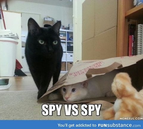 Spy vs Spy