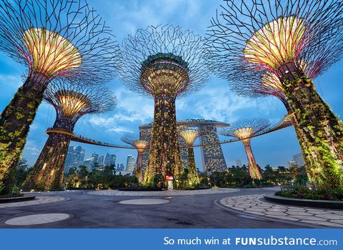 Supertrees, singapore