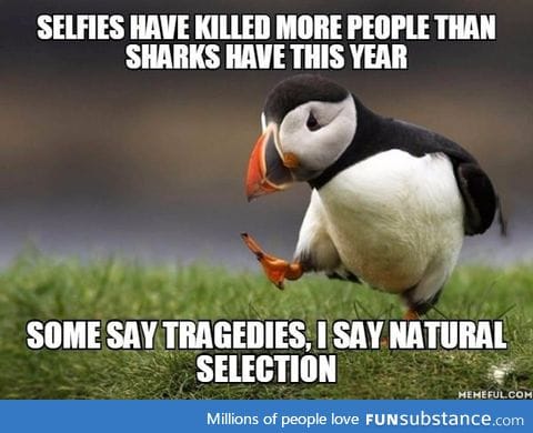 Selfies have killed more people than sharks have this year