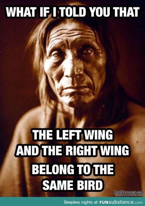 Left and right wings