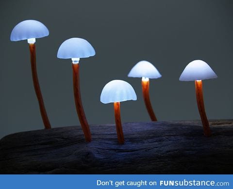 Mushroom lights