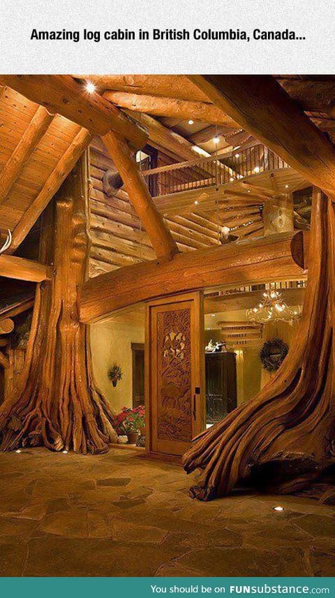 Amazing log cabin