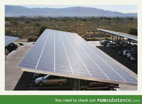 More parking lots should look like this