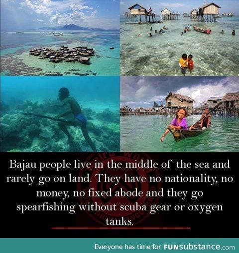 The water tribe
