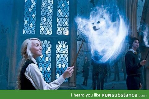 Very magic, such wow