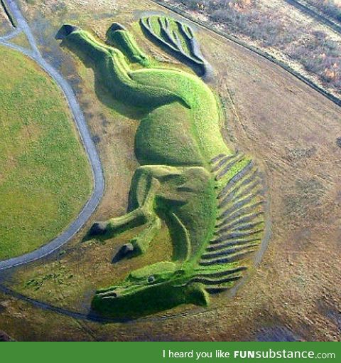 Amazing horse field design