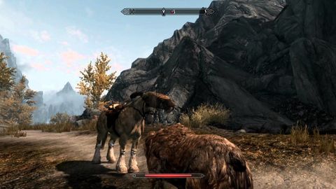 How to ride a horse and fight a bear at the same time!