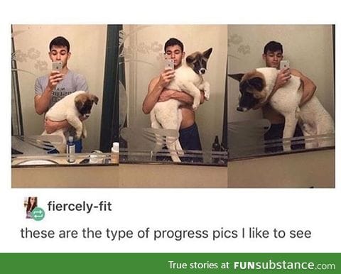 look at the dooooog