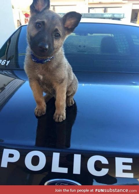 First day on the job