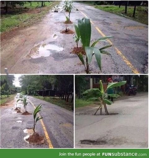 Honduras just being Honduras (Protest against the bad conditions of the roads)