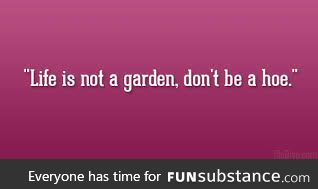 Words of advice