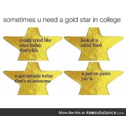 College Gold Stars