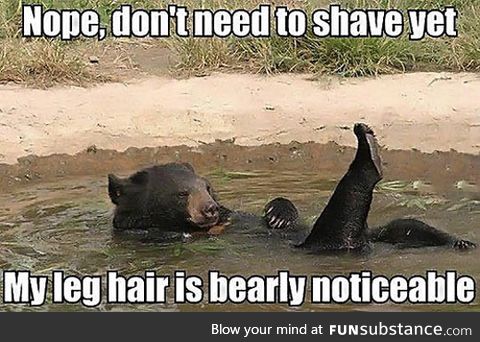 Some girls I know