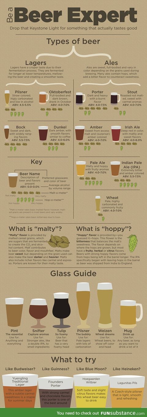 How to be a beer expert