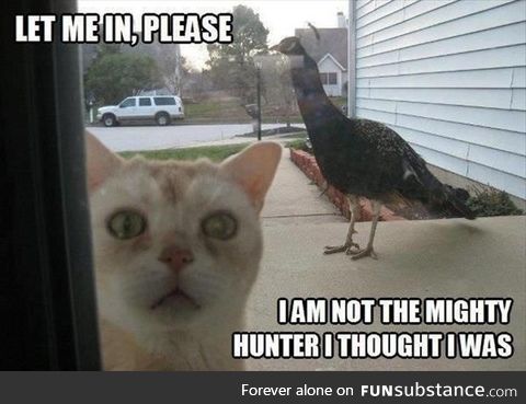 Let Me In,Please