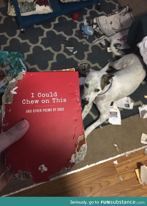 I guess I can't be mad?