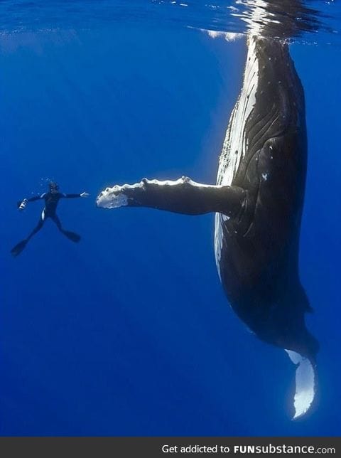 High-five bro!
