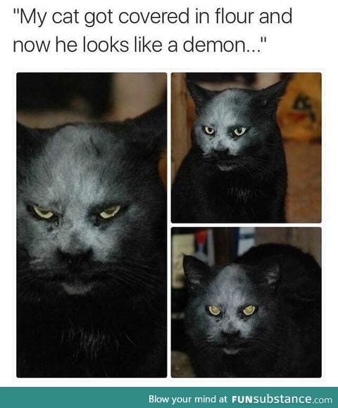 Demon Cat