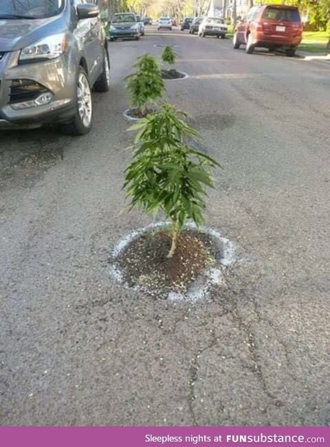 Portland's Pothole Problem is Out of Control