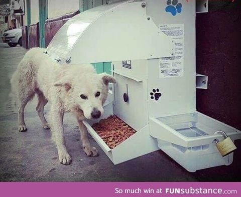 Faith in humanity is slowly restoring. Food stations for stray dogs