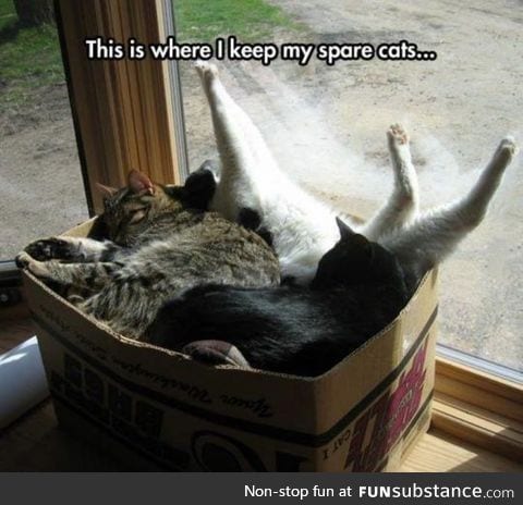 Catbox