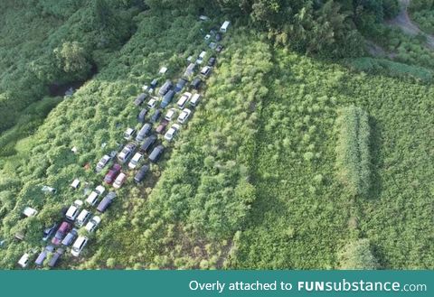 Nature quickly reclaiming the Fukushima nuclear disaster exclusion zone