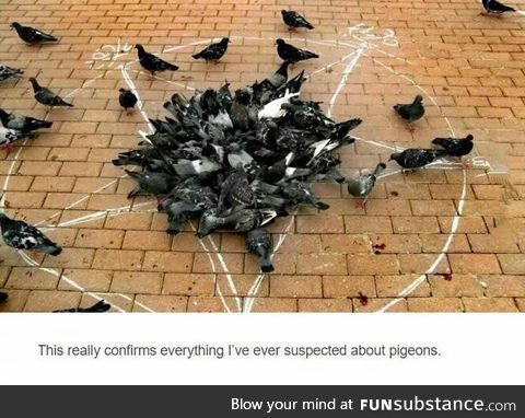 I f**king knew it!