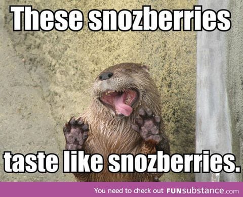 Otters love glass