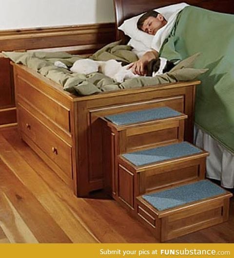 The perfect bed for your dog