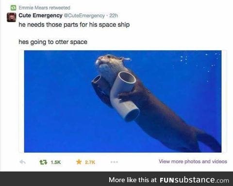 Starboy and The Otter of Outer Space