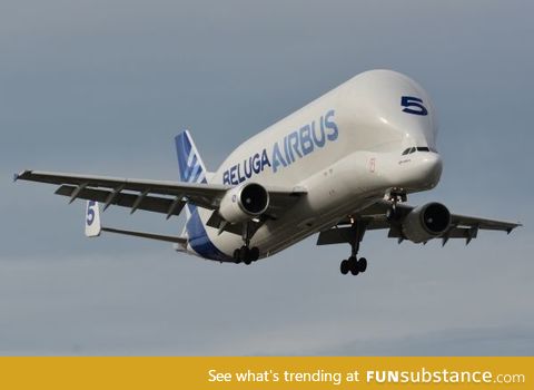 Airbus beluga