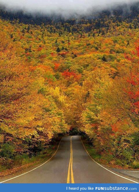 Came across this cool photo from the town I grew up in