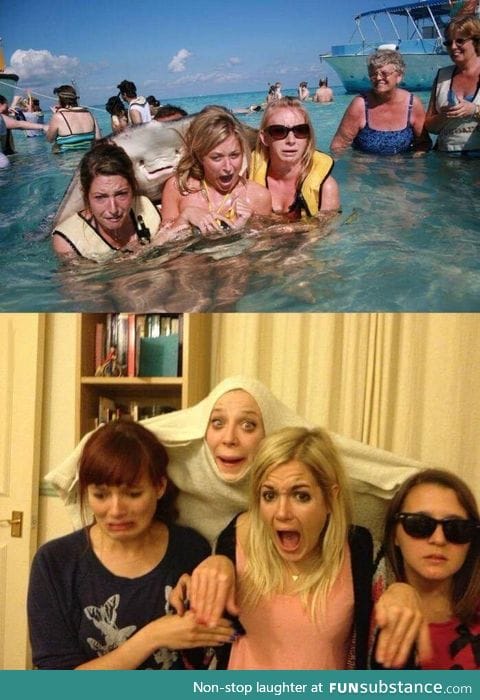 They definitely nailed it!