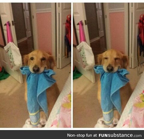 She likes carrying around random rags for no reason