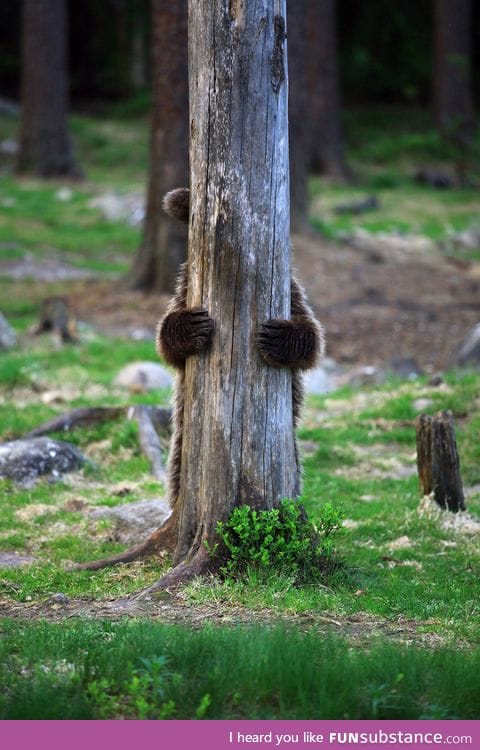"I have the perfect hiding spot...."