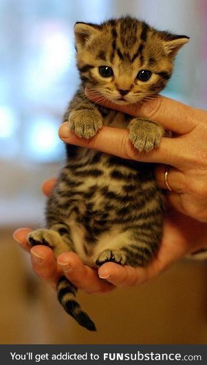 I will not be held responsible if this sweet pic gives you cavities.