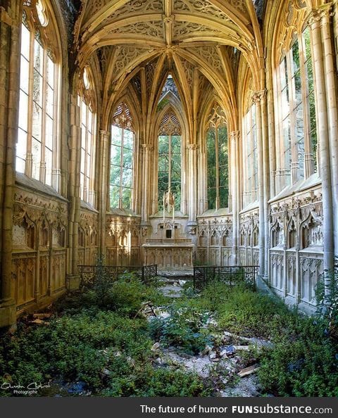 Nature taking back a church