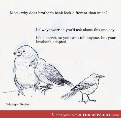 He didn't even finch